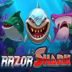 Razor Shark — play at Zebra Bingo Casino